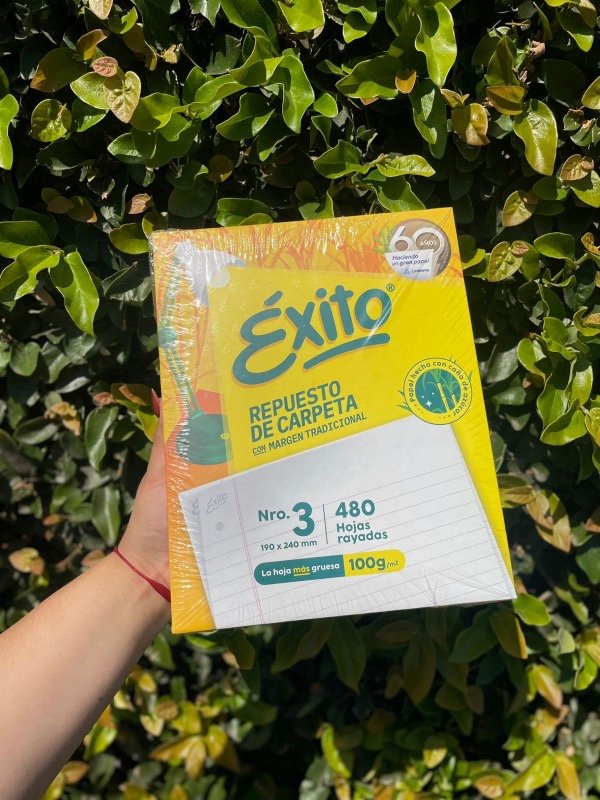 Producto - Repuesto Éxito 480 hojas. Rayado