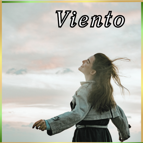 Producto - esencia fragancia Viento