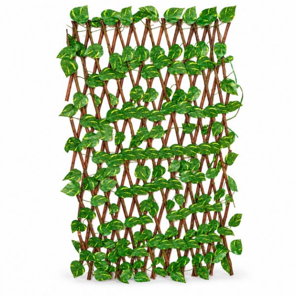 Producto - CERCO VEGETAL ANCHO EXTENSIBLE HASTA 120 CM Y ALTO 110 CM