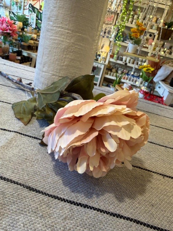Producto - Vara peonia 60 cm (Efectivo: 5.520)