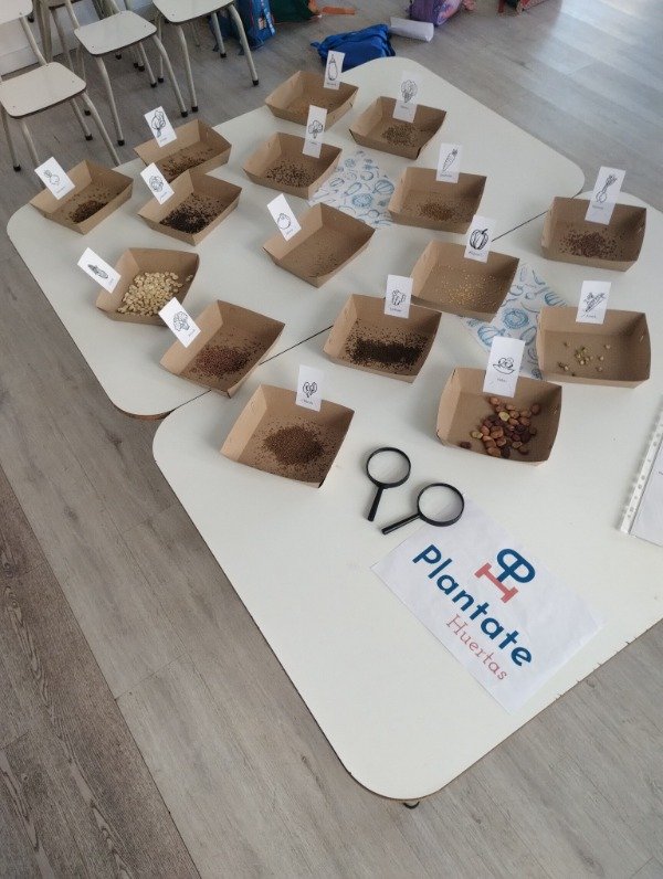 Miniatura de producto - 11
