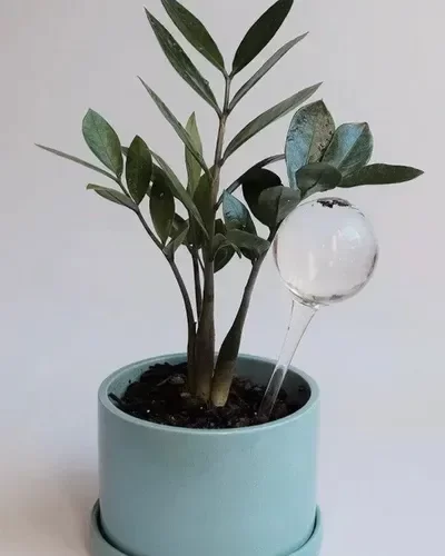 Producto - GOTA AUTORRIEGO CHICA x 2