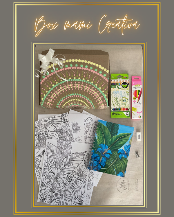 Producto - Box Amichi Creativa