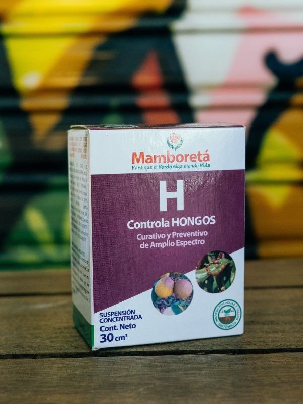 Producto - Mamboreta H
