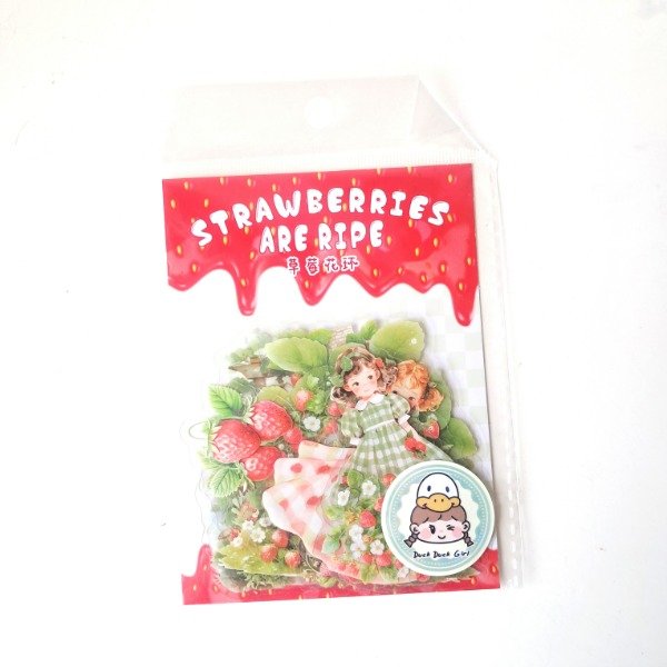 Producto - Set de 15 stickers transparentes - Strawberry Garland