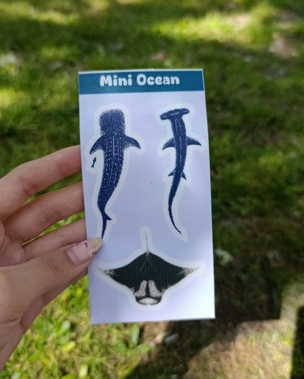 Producto - Mini Plancha Tiburones Transparente