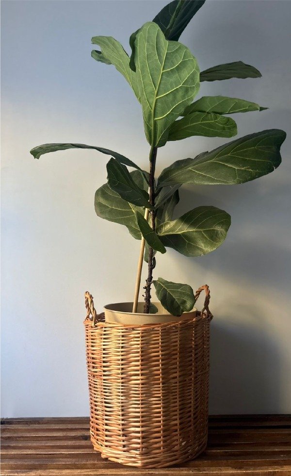 Producto - Portamaceta: cesto mimbre leñero