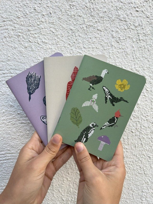 Producto - Combo libretas