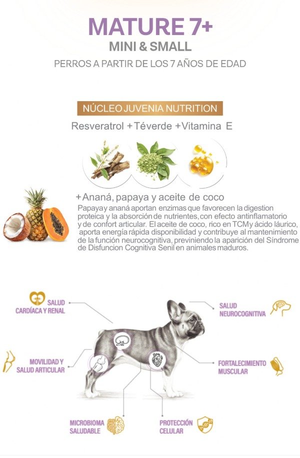 Producto - Juvenia Perro Senior Raza Pequeña 3 Kg - 1