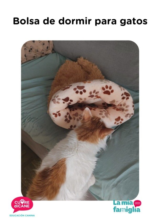 Producto - Bolsa de dormir para gatos