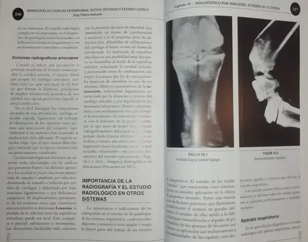 Producto - Andreatta: Semiología en Ciencias Veterinarias - 4