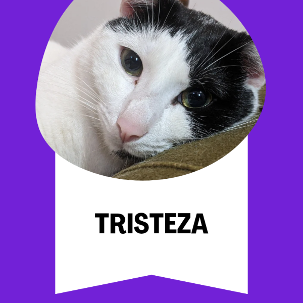 Producto - Tristeza