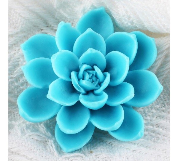 Producto - MOLDE SILICONA SUCULENTA mod2