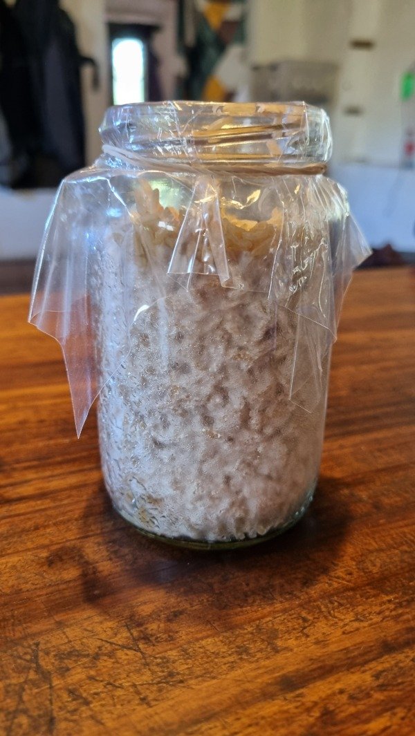 Producto - Frasco de Grano Miceliado