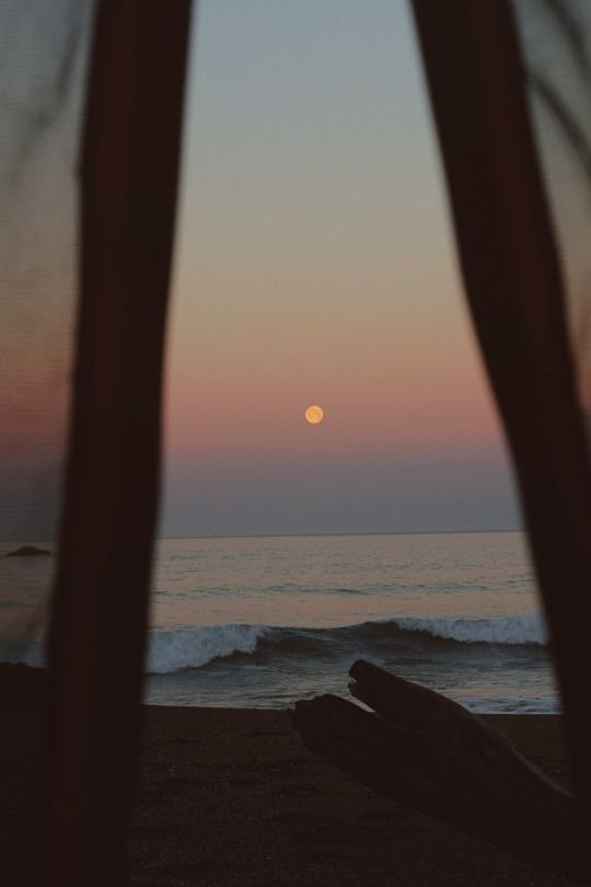 Producto - LUNA NUEVA EN CAPRICORNIO ENERO 2026