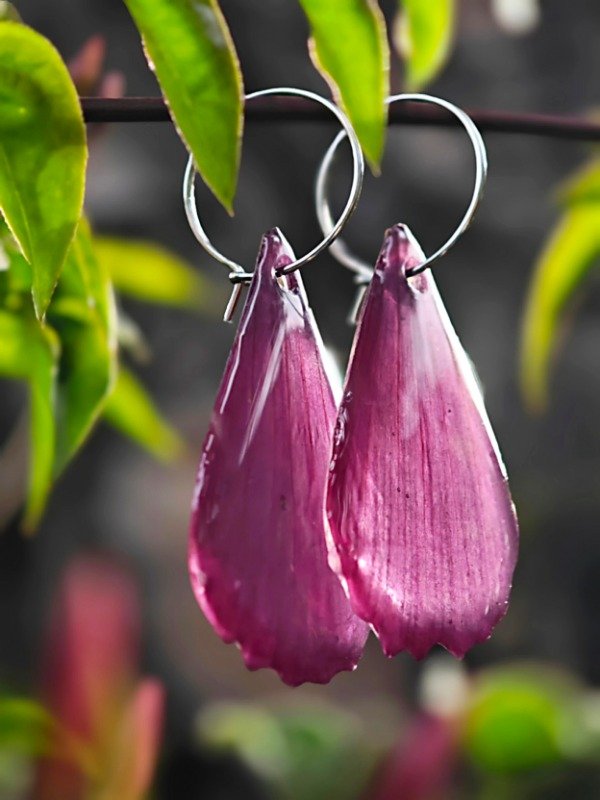 Producto - Aros Cosmos plateados