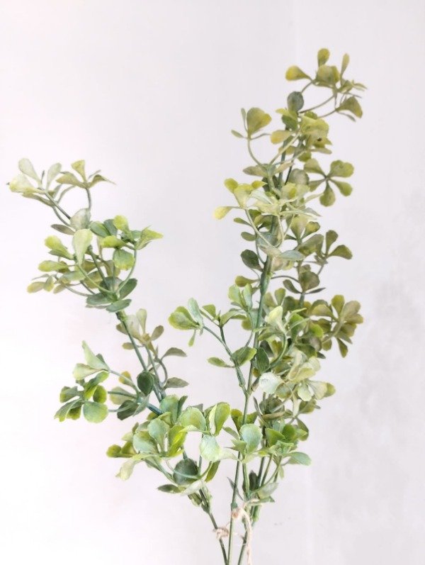 Producto - Ramo verde