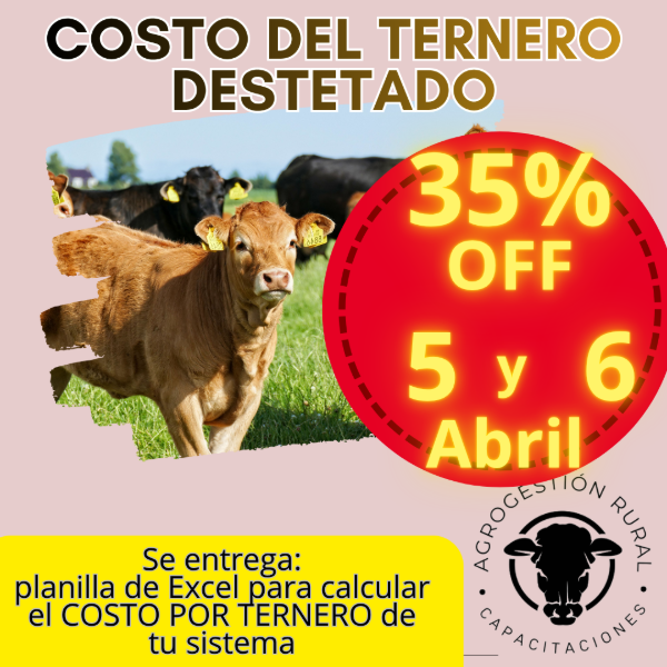 Producto - Taller Online: Costo del Ternero