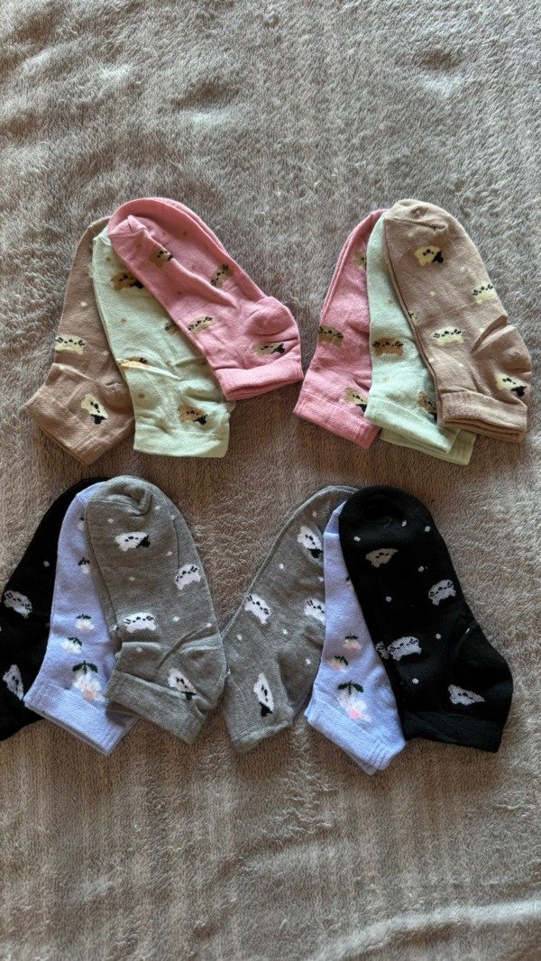 Producto - 12 socks cat