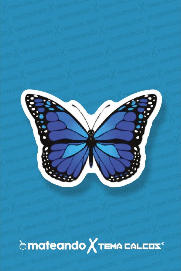 Producto - MARIPOSA AZUL