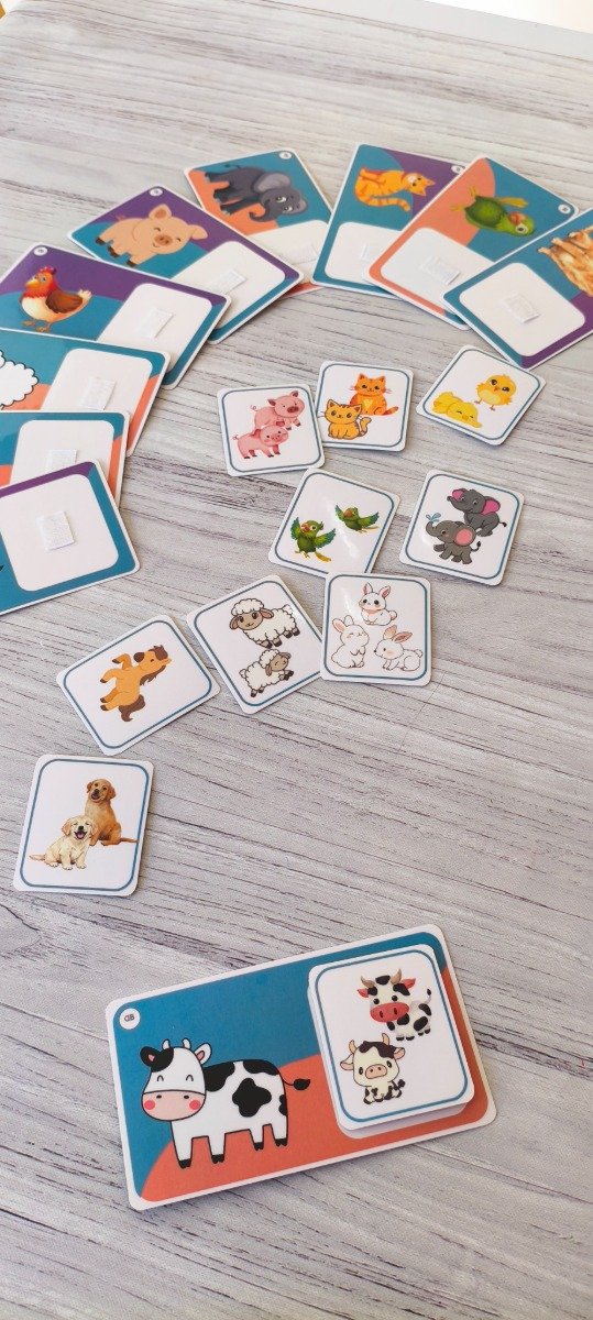 Miniatura de producto - 1