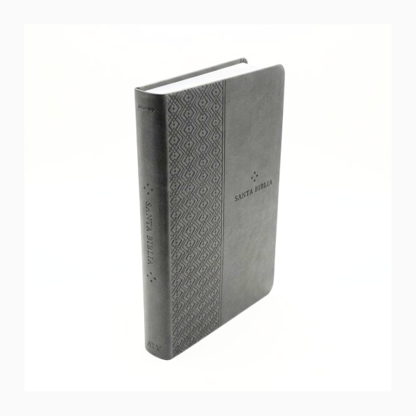 Producto - BIBLIA NTV L 8,25P 13,5X21,5 CON FILAMENT  TAPA PU GRIS