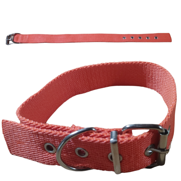 Producto - Collar Para Perros Termofusionados 50 Cm Largo 3 Cm Ancho - 3