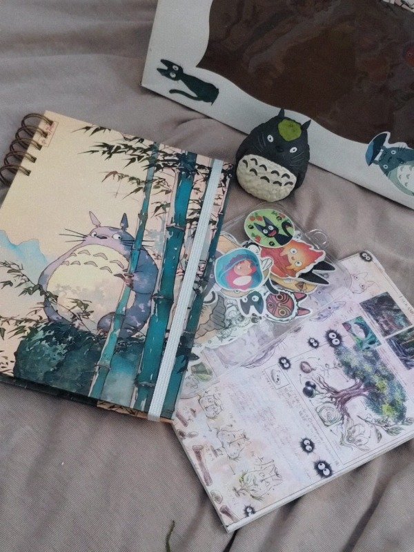 Producto - Box Totoro - 3