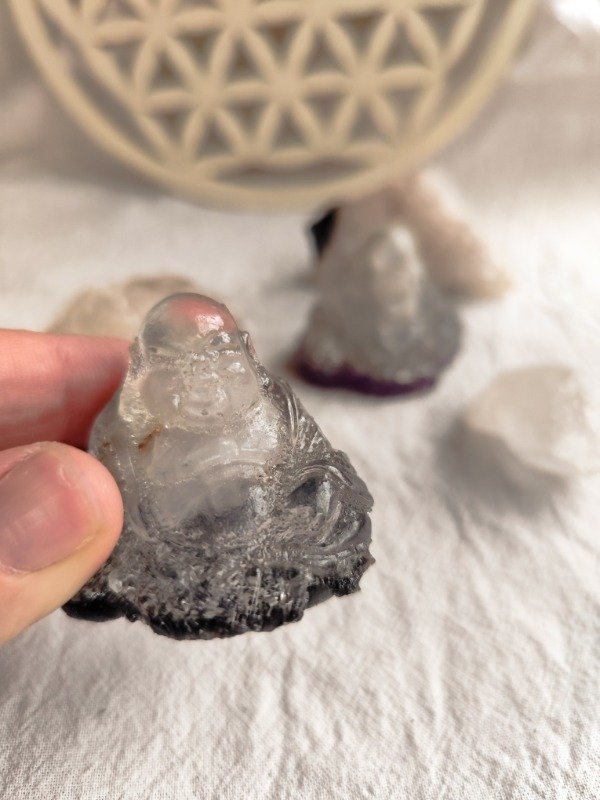 Producto - ORGON BUDA
