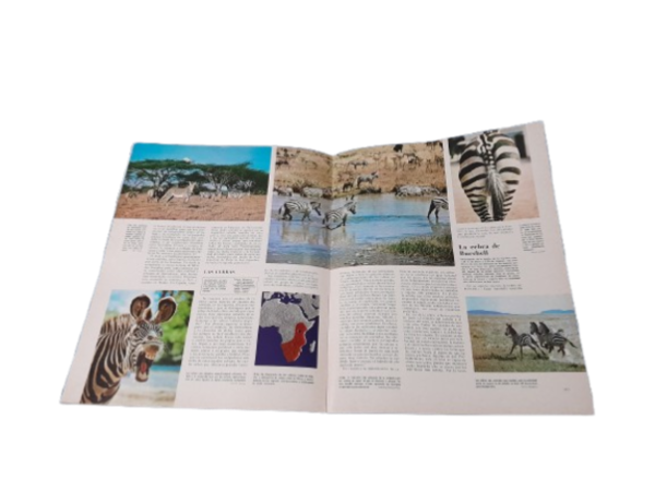 Miniatura de producto - 5