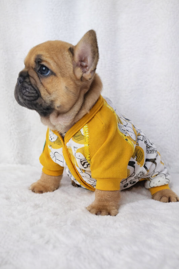 Producto - Pijama Bosque Encantando