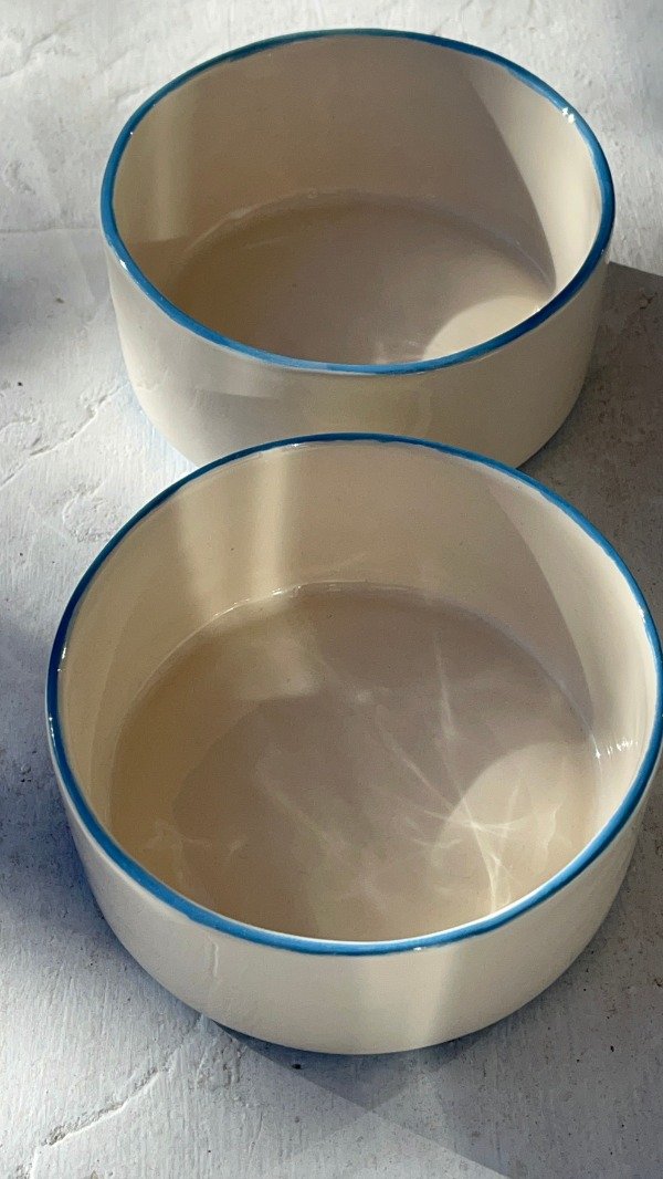 Producto - Bowl Azul Linea