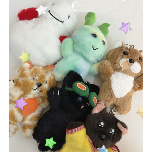 Producto - LLAVERO BOYNEXTDOOR - BBNEXDO