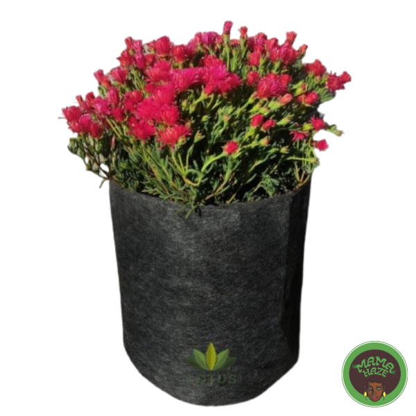 Producto - Maceta GEOTEXTIL - LOTUS 20L