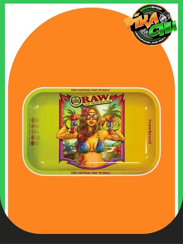 Producto - RAW Bandeja Metal Brazil Mediana