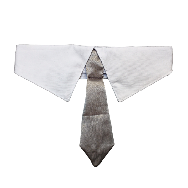 Producto - Cuello Corbata Luxury Plateado