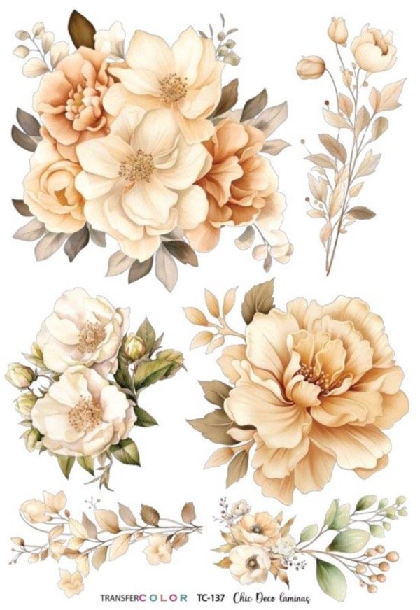 Producto - Transfer Color 137