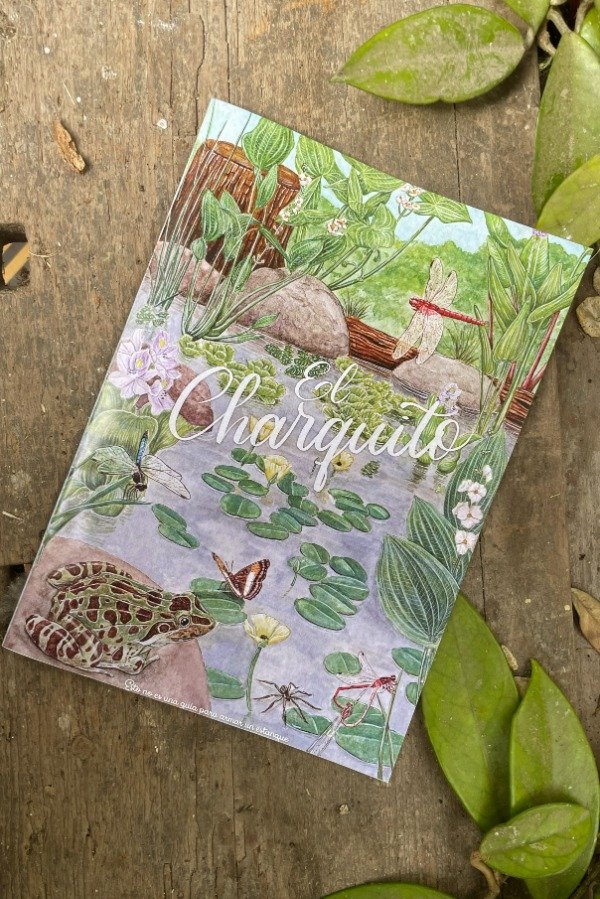 Producto - El Charquito - Librito para colorear - 0