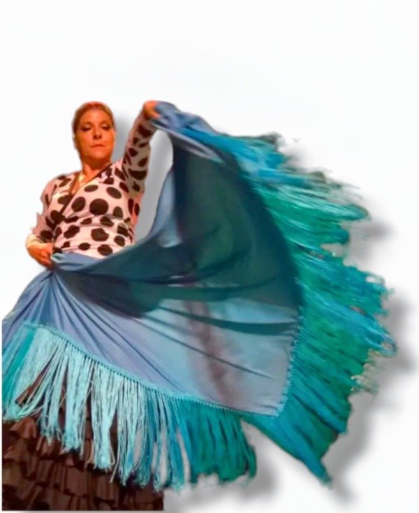 Producto - Mantón Triangular con Flecos de Seda PRE VENTA