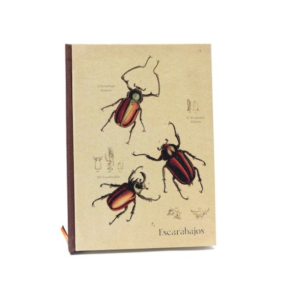 Producto - Escarabajo trio