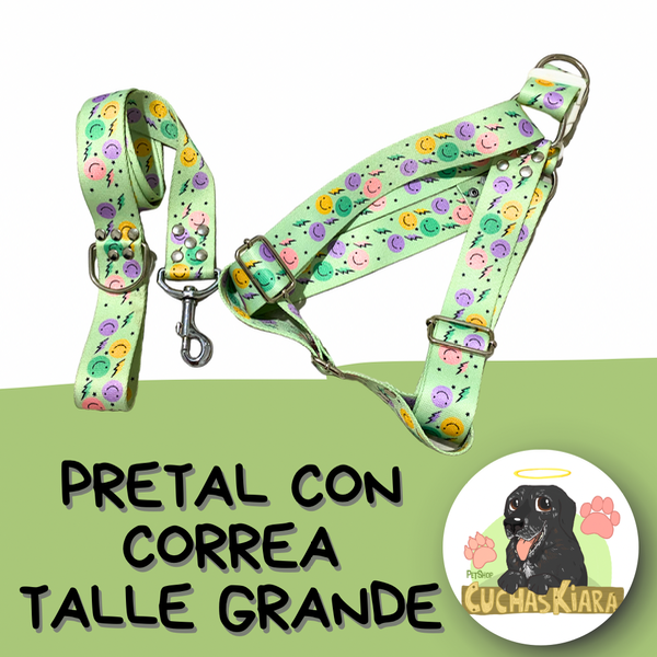 Producto - Pretal y Correa Talle Grande