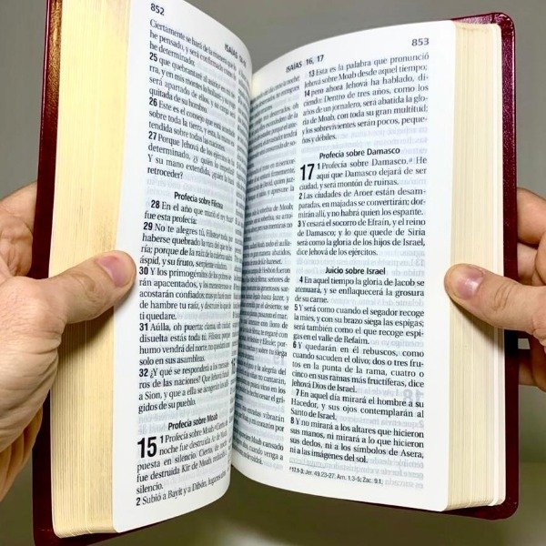 Miniatura de producto - 6