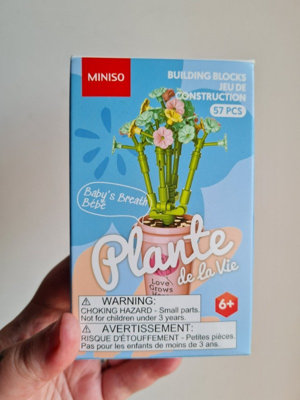 Producto - Planta Velo de novia tipo lego