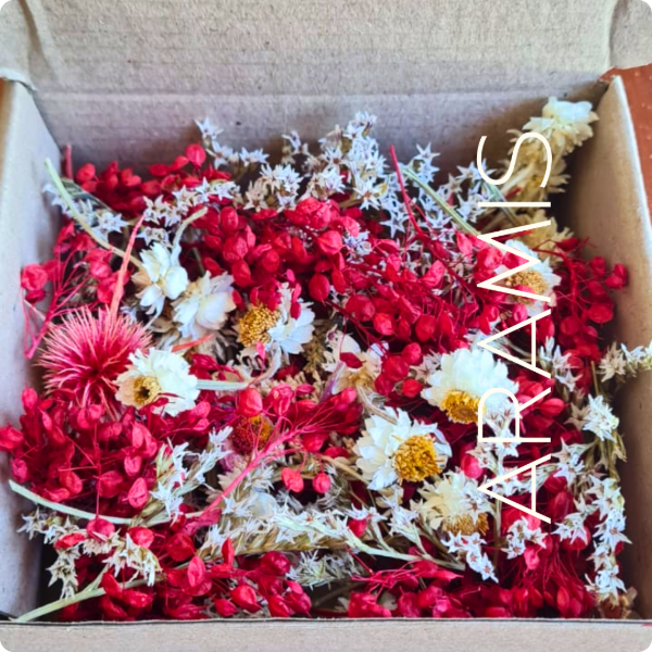 Producto - BOX San Valentín sin tallos