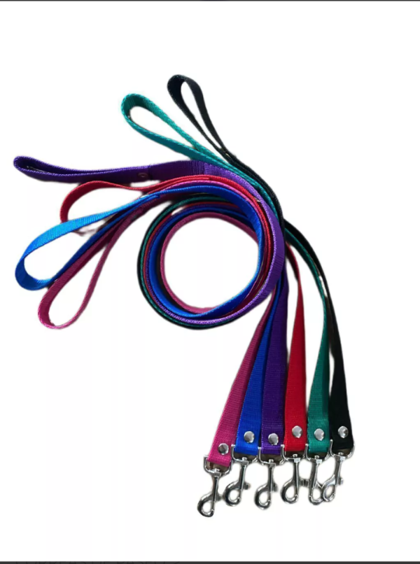 Tienda online de Indigo Pet