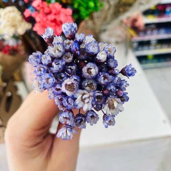 Miniatura de producto - 8