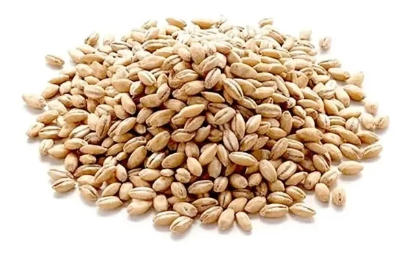 Producto - Cebada Perlada Premium x 500g