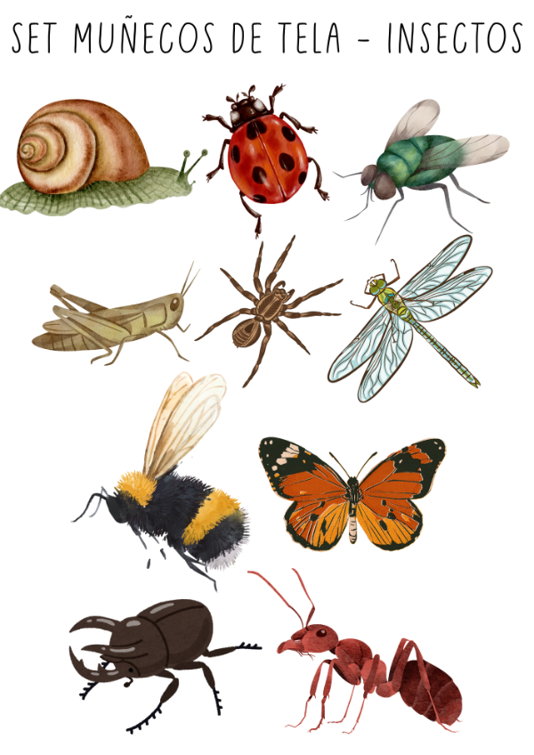Producto - MUÑECOS TELA - SET ANIMALES INSECTOS