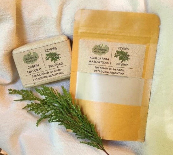 Producto - KIT - Ciprés de la Cordillera