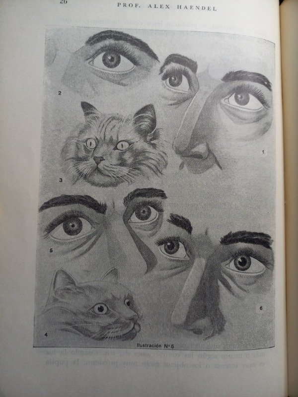Producto - La Irisdiagnosis - Alex Haendel - 5